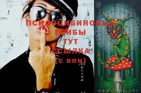 молекула духа Белоозёрский