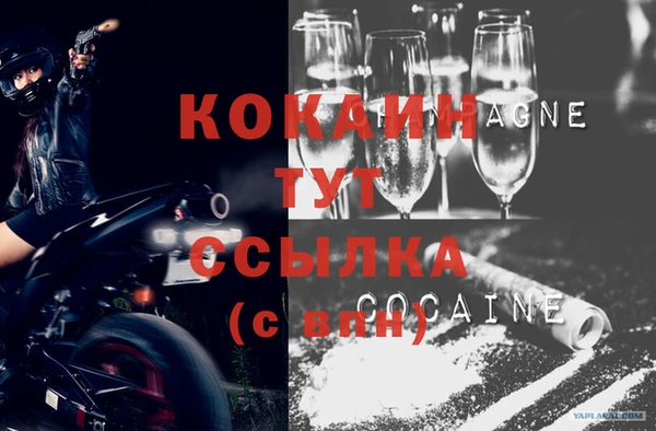 молекула духа Белоозёрский