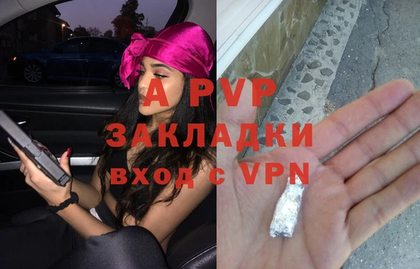 стаф Белокуриха